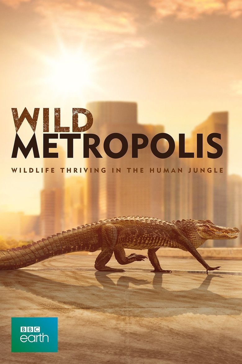 Episodes in Cities Nature's New Wild - Season 1 - Season 1 Poster of Episodes in Cities Nature's New Wild - Season 1 - Season 1