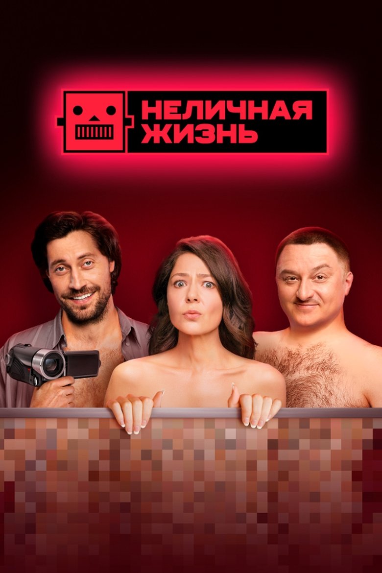 Not a Personal Life Poster of Not a Personal Life
