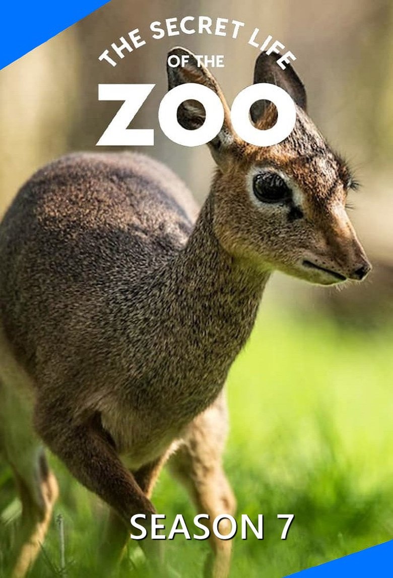 Episodes in The Secret Life Of The Zoo - Season 7 - Season 7 Poster of Episodes in The Secret Life Of The Zoo - Season 7 - Season 7