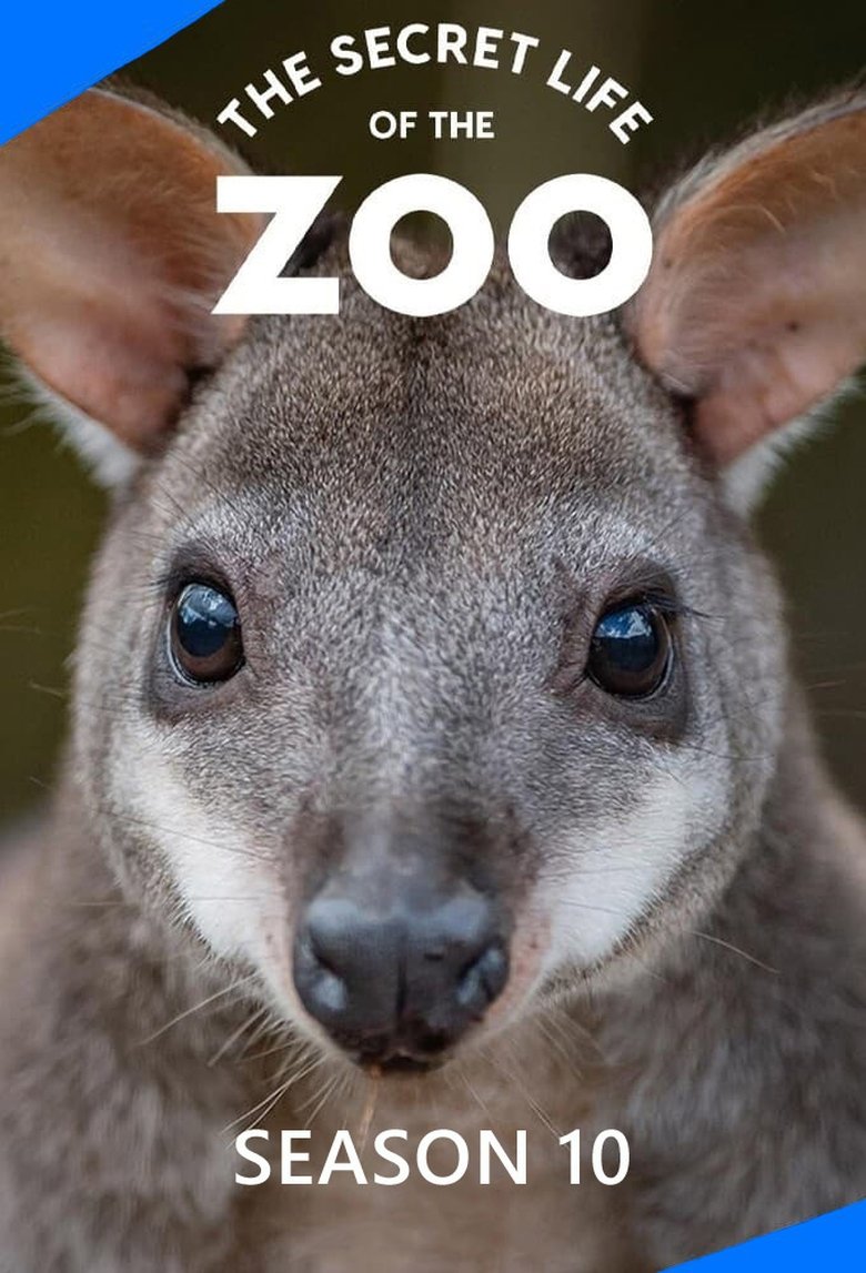 Episodes in The Secret Life Of The Zoo - Season 10 - Season 10 Poster of Episodes in The Secret Life Of The Zoo - Season 10 - Season 10