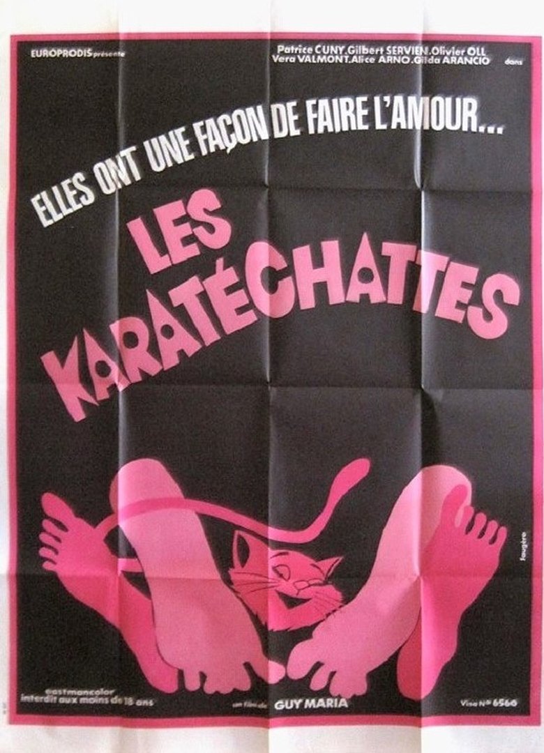 Les pornochattes Poster of Les pornochattes