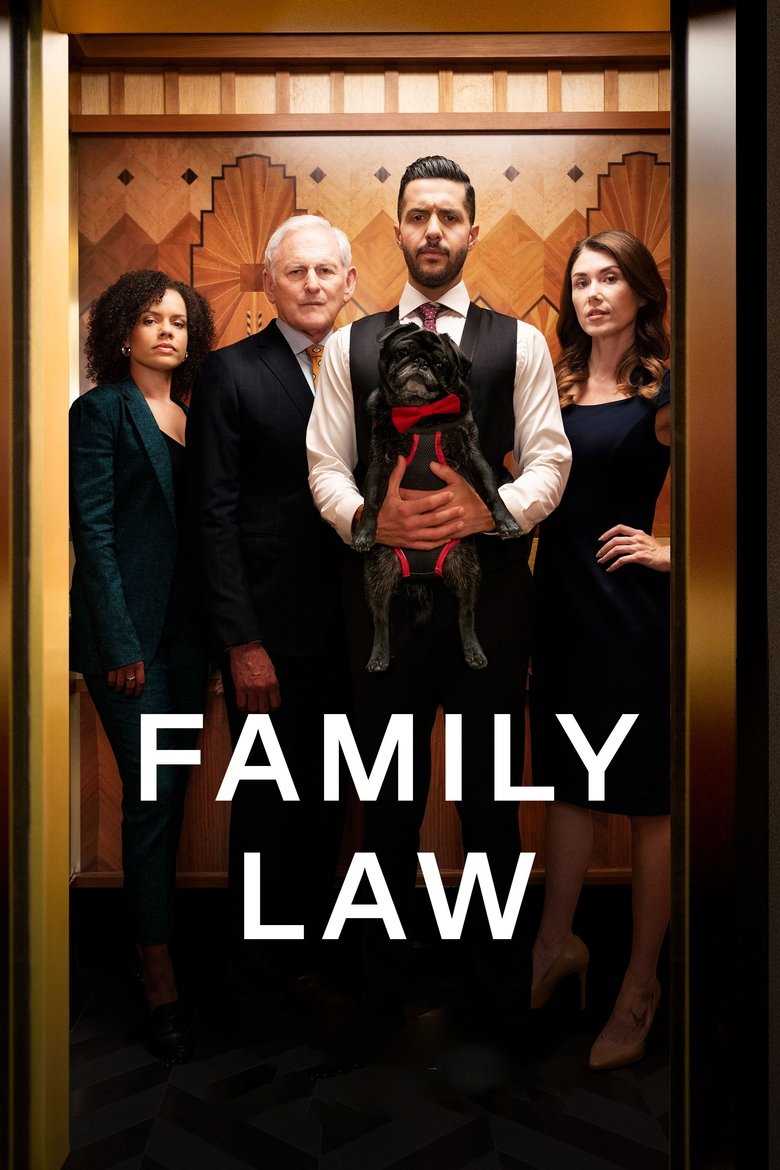 Cast and Crew in Family Law - Second Chances (Season 4 - Episode 10) - Second Chances Poster of Cast and Crew in Family Law - Second Chances (Season 4 - Episode 10) - Second Chances