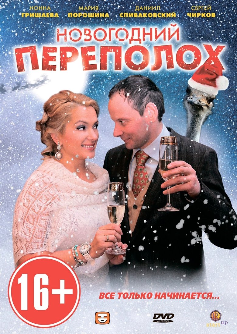 Новогодний переполох Poster of Новогодний переполох