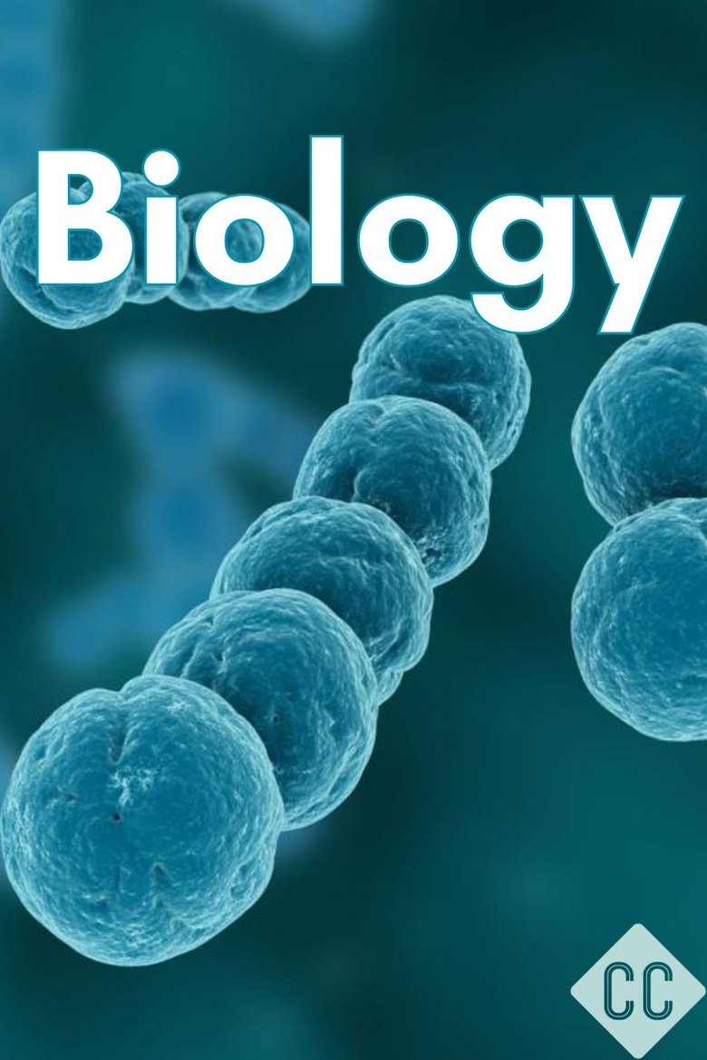 Cast and Crew in Crash Course Biology - Great Glands - Your Endocrine System (Season 1 - Episode 33) - Great Glands - Your Endocrine System Poster of Cast and Crew in Crash Course Biology - Great Glands - Your Endocrine System (Season 1 - Episode 33) - Great Glands - Your Endocrine System