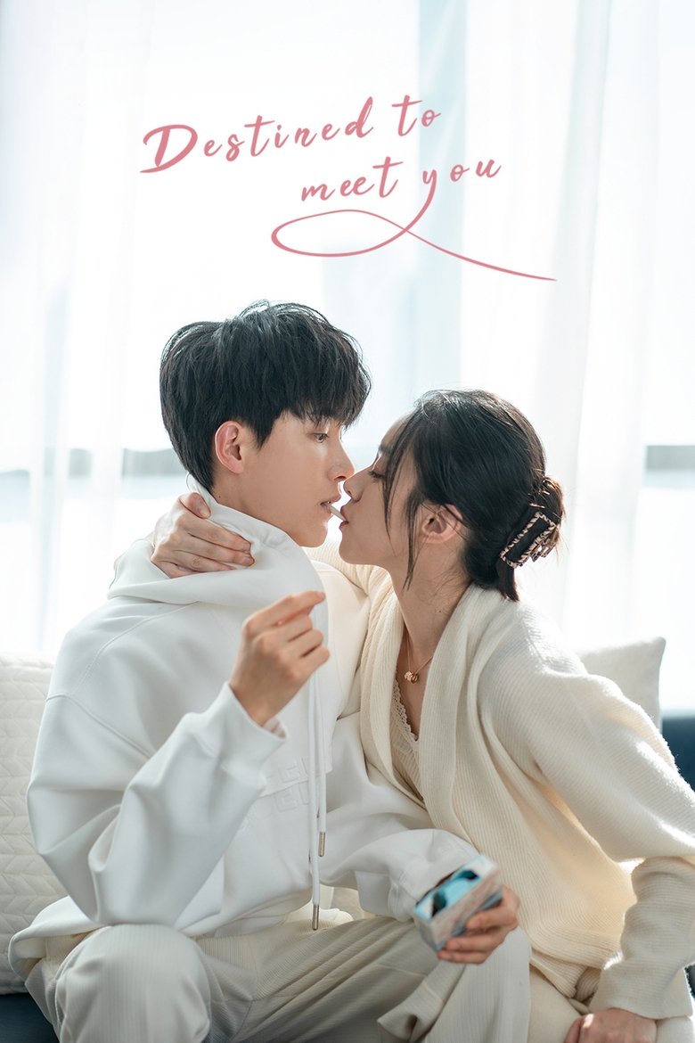 Destined to Meet You Poster of Destined to Meet You