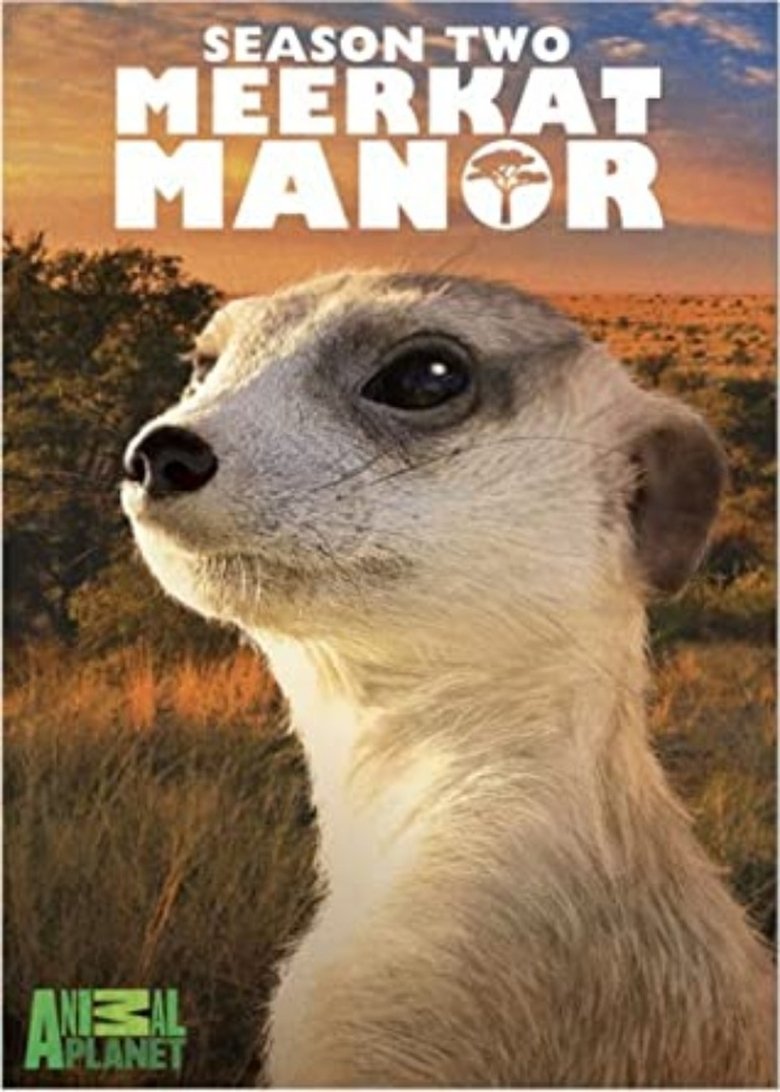 Episodes in Meerkat Manor - Season 2 - Season 2 Poster of Episodes in Meerkat Manor - Season 2 - Season 2