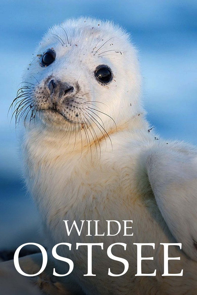 Wilde Ostsee Poster of Wilde Ostsee