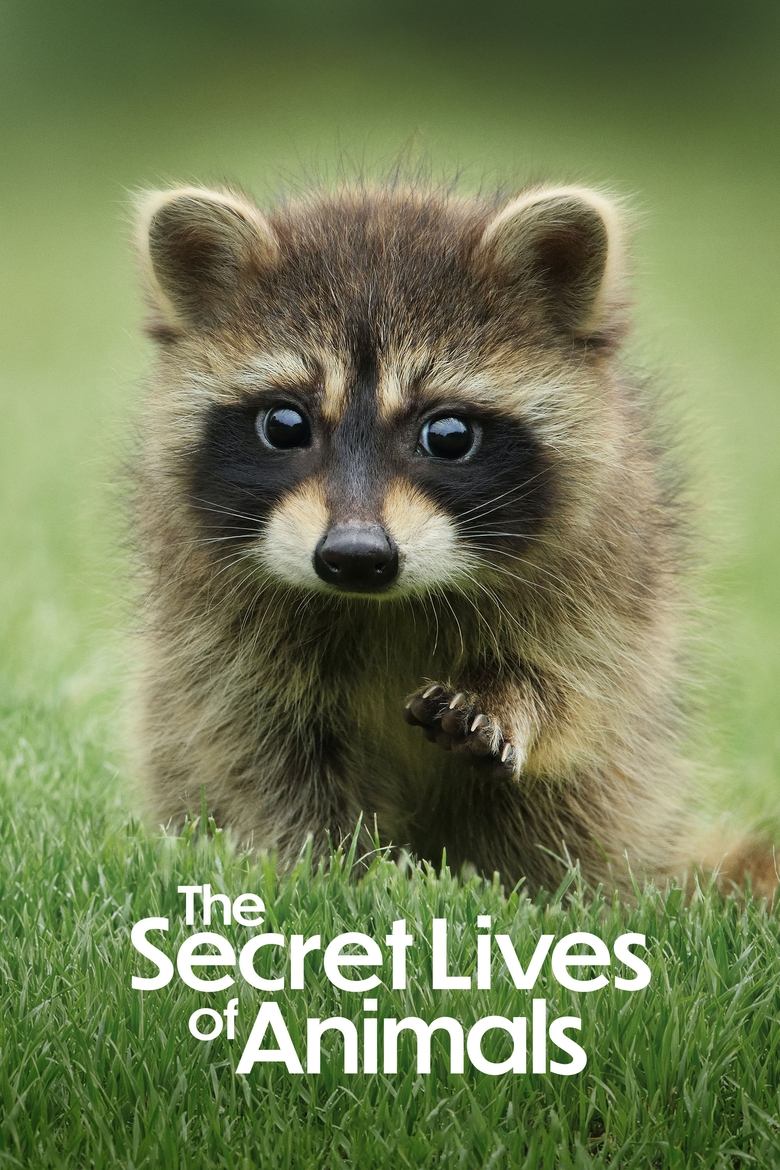 Episodes in The Secret Lives Of Animals - Season 1 - Season 1 Poster of Episodes in The Secret Lives Of Animals - Season 1 - Season 1