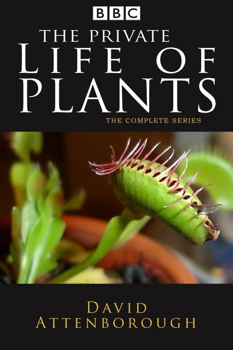 Episodes in The Private Life Of Plants - Season 1 - Season 1 Poster of Episodes in The Private Life Of Plants - Season 1 - Season 1