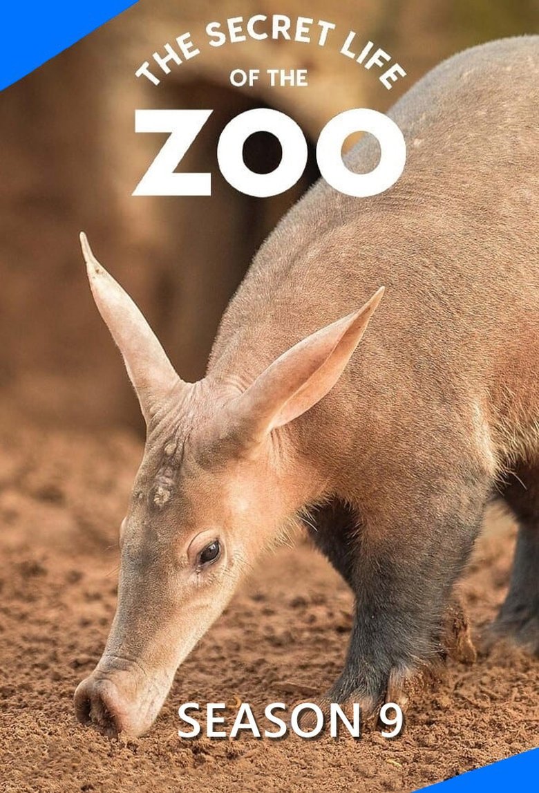 Episodes in The Secret Life Of The Zoo - Season 9 - Season 9 Poster of Episodes in The Secret Life Of The Zoo - Season 9 - Season 9