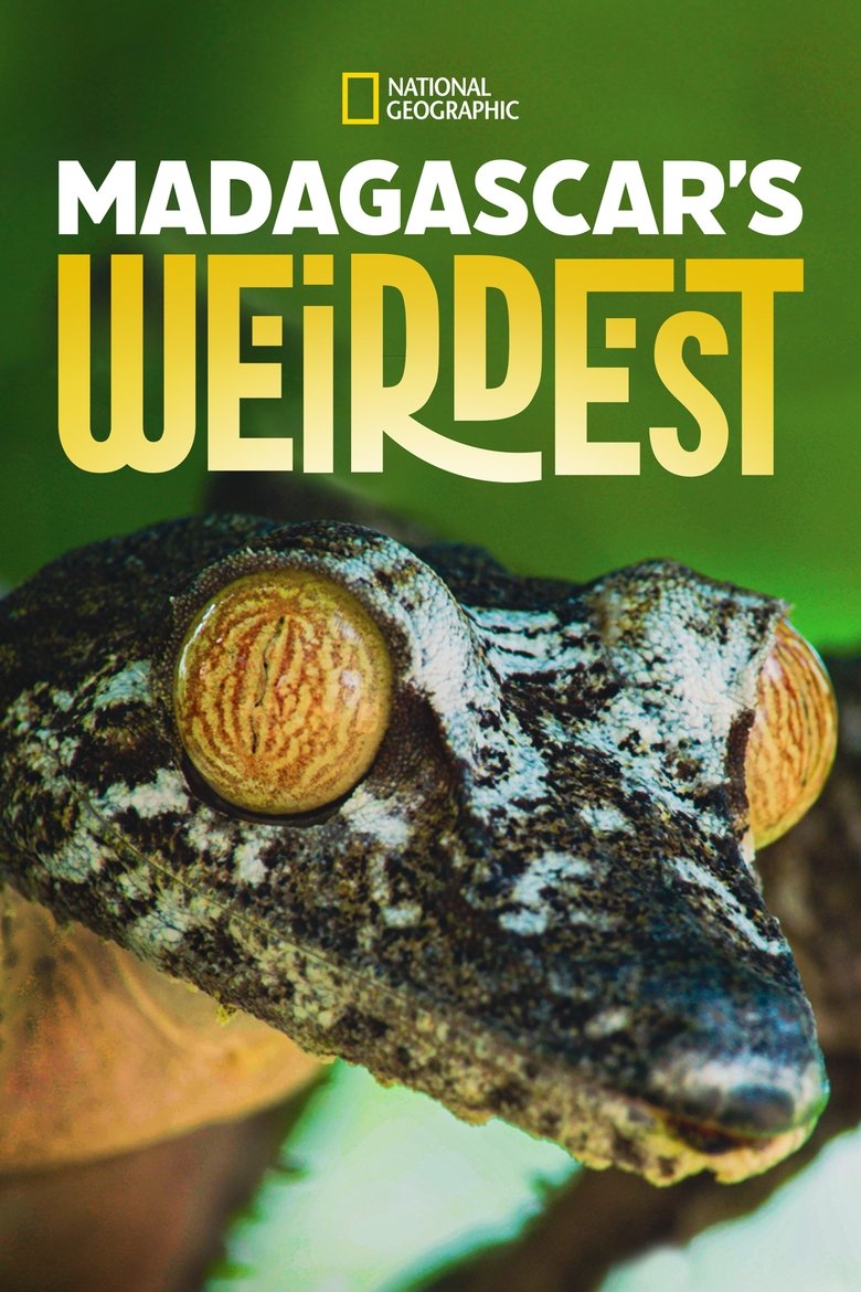 Madagascar's Weirdest Poster of Madagascar's Weirdest