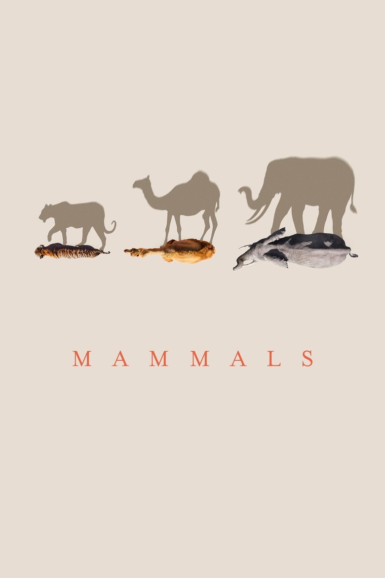 Episodes in Mammals - Series 1 - Series 1 Poster of Episodes in Mammals - Series 1 - Series 1