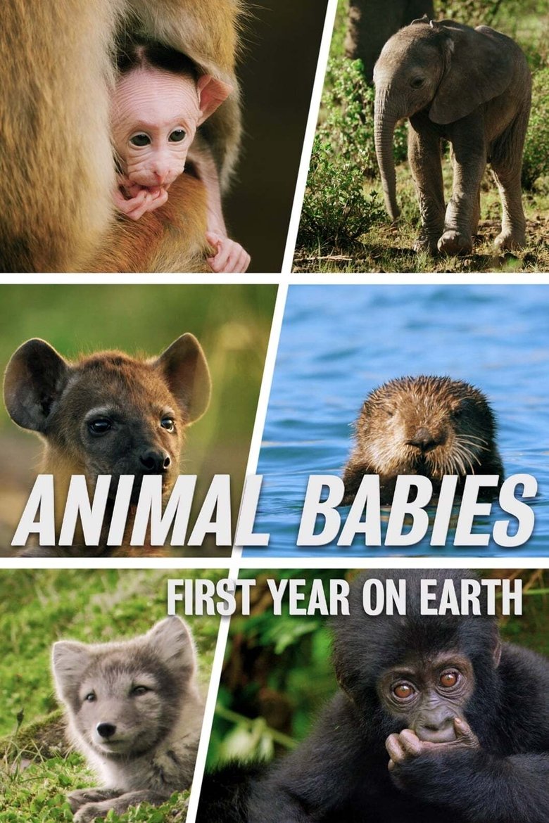 Episodes in Animal Babies First Year On Earth - Season 1 - Season 1 Poster of Episodes in Animal Babies First Year On Earth - Season 1 - Season 1