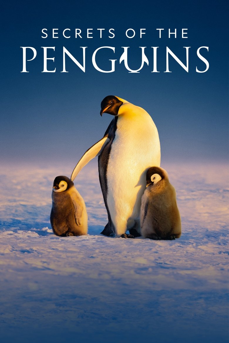 Secrets of the Penguins Poster of Secrets of the Penguins