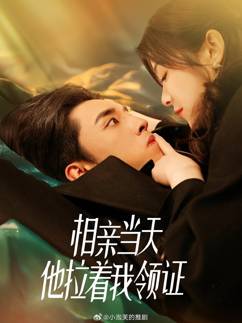 相亲当天他拉着我领证 Poster of 相亲当天他拉着我领证