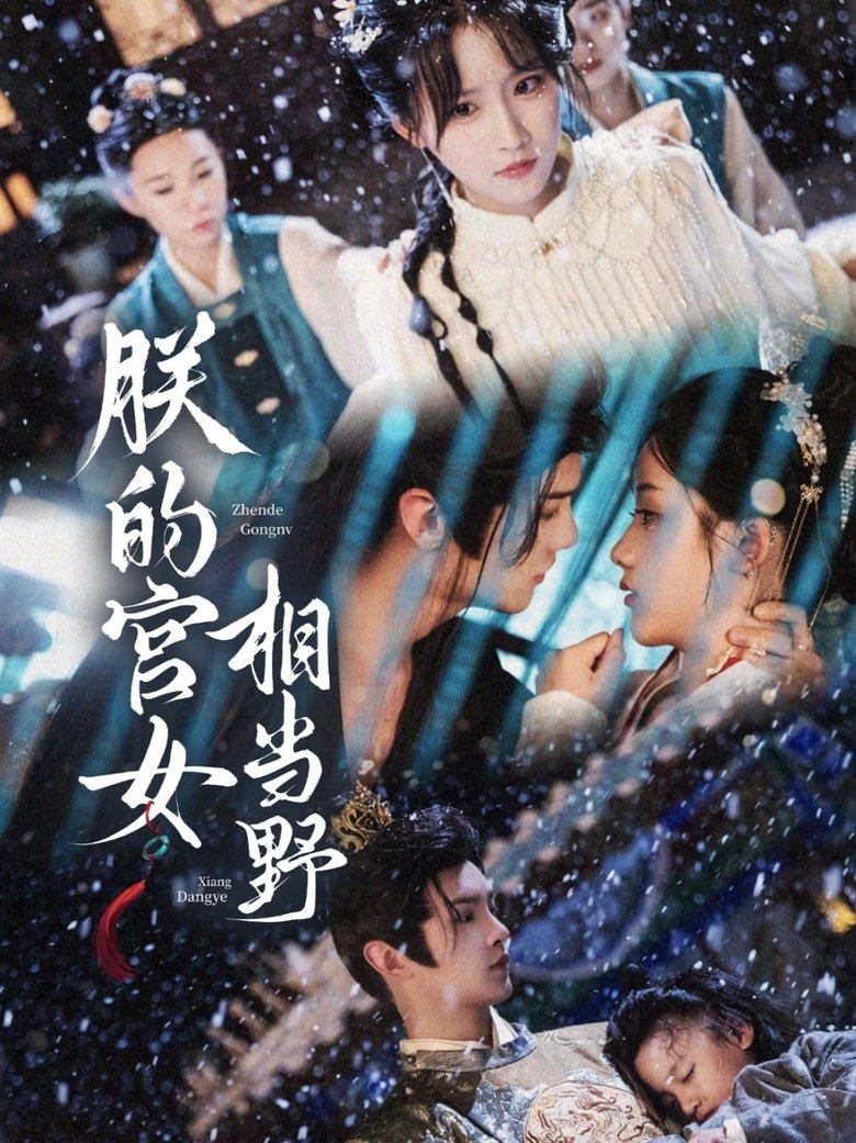 朕的宫女相当野 Poster of 朕的宫女相当野