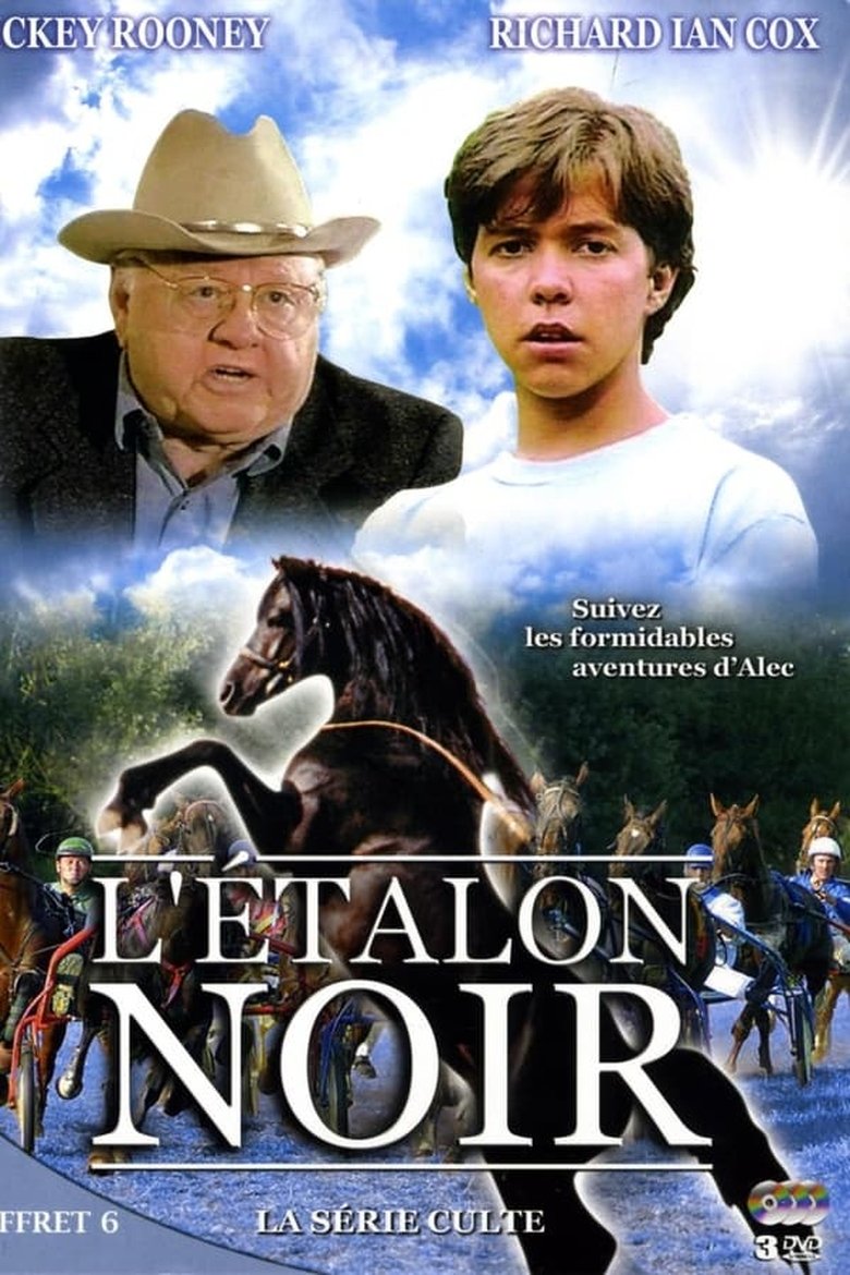 Episodes in The Adventures Of The Black Stallion - Season 3 - Season 3 Poster of Episodes in The Adventures Of The Black Stallion - Season 3 - Season 3