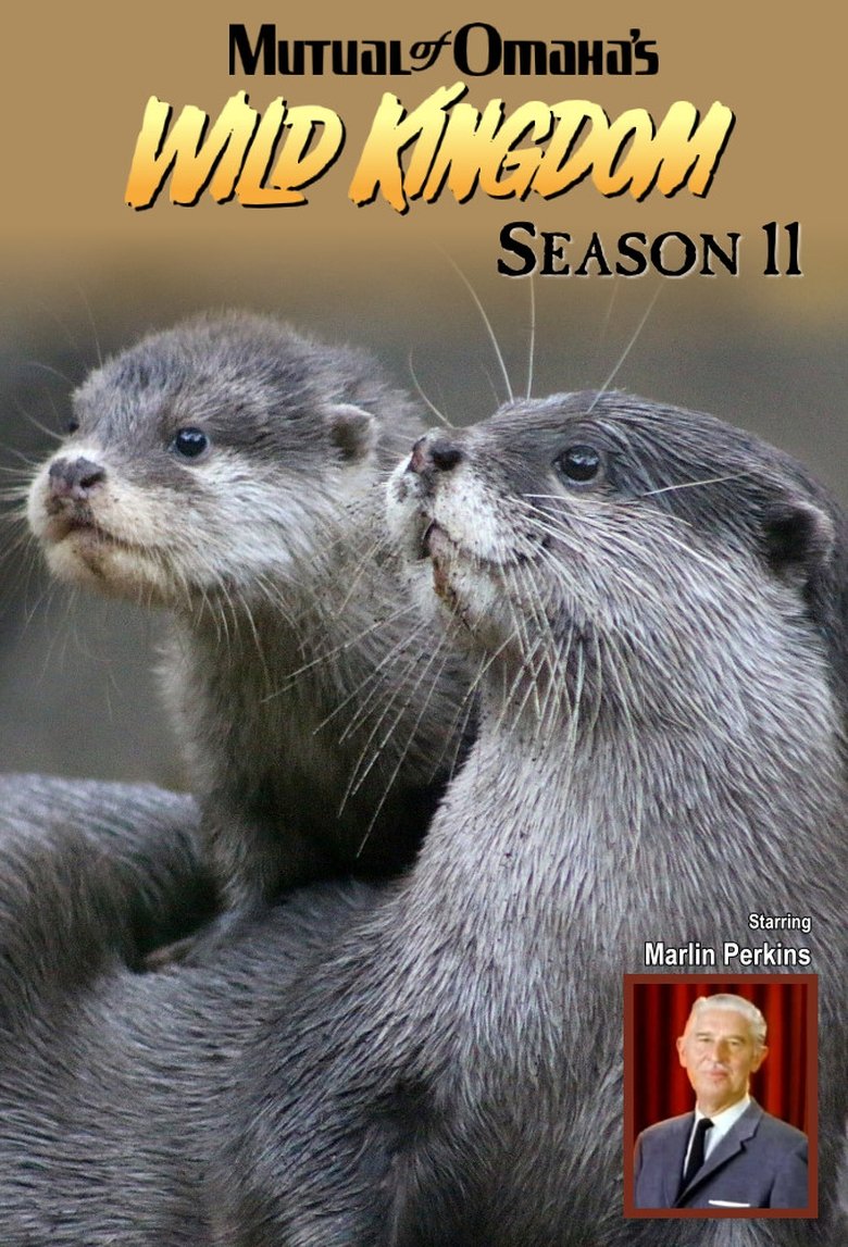 Episodes in Mutual Of Omaha's Wild Kingdom - Season 11 - Season 11 Poster of Episodes in Mutual Of Omaha's Wild Kingdom - Season 11 - Season 11