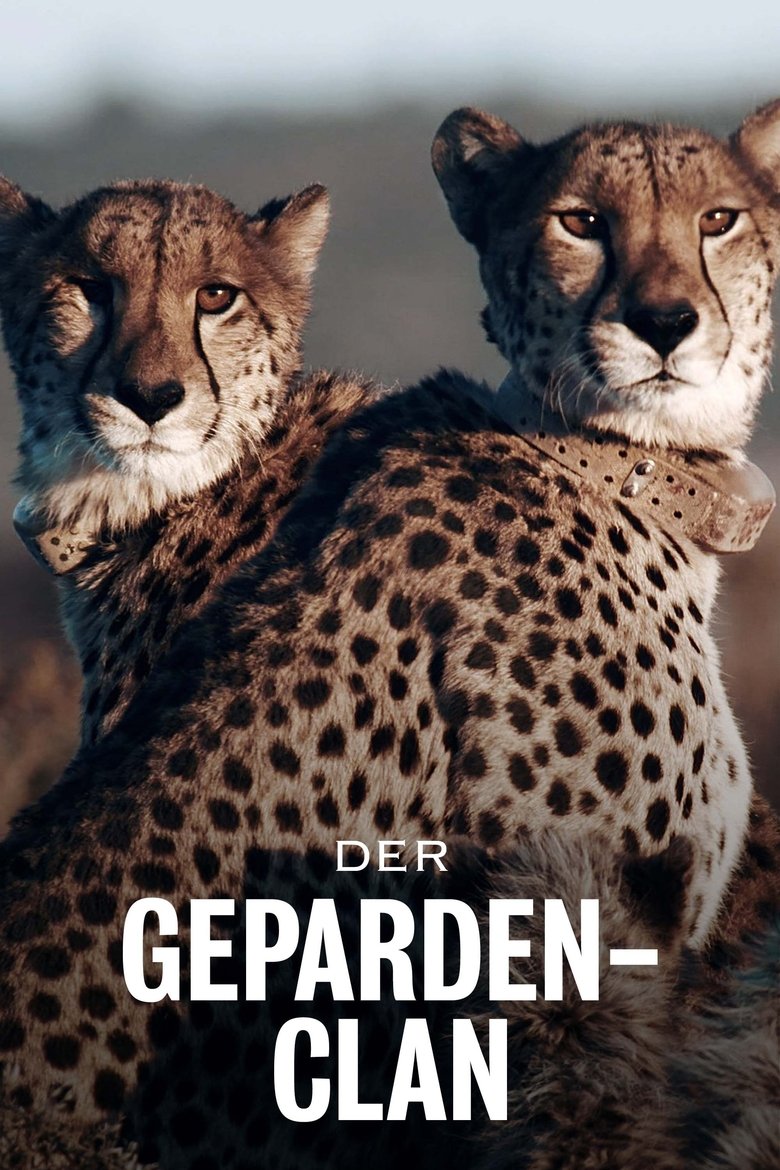 Cheetahs United Poster of Cheetahs United