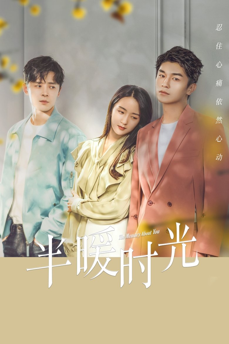 The Memory About You Poster of The Memory About You