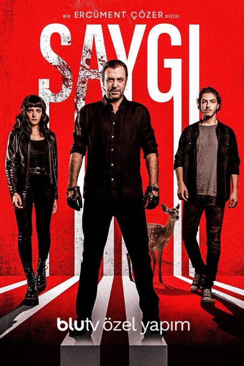 Respect Poster of Respect