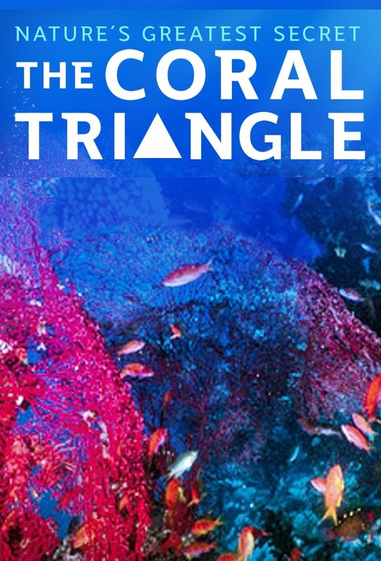 Coral Triangle Poster of Coral Triangle