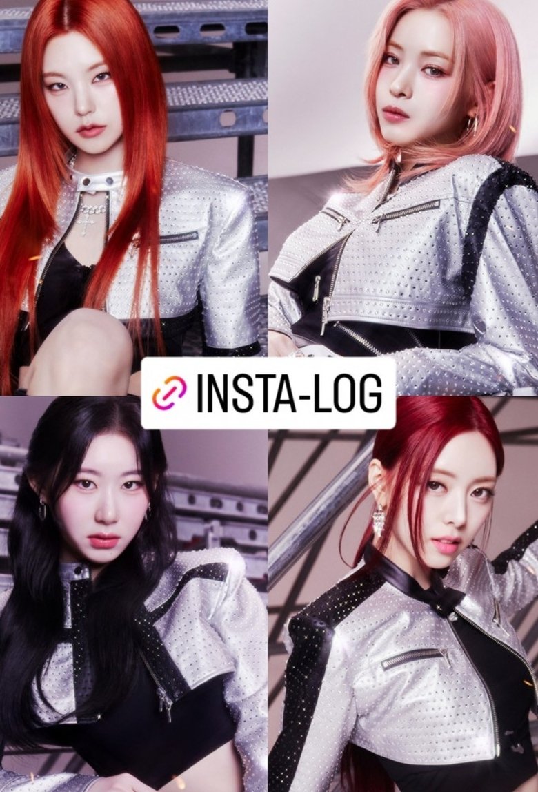 Insta-LOG Poster of Insta-LOG