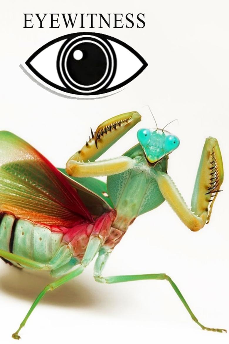 Eyewitness Poster of Eyewitness