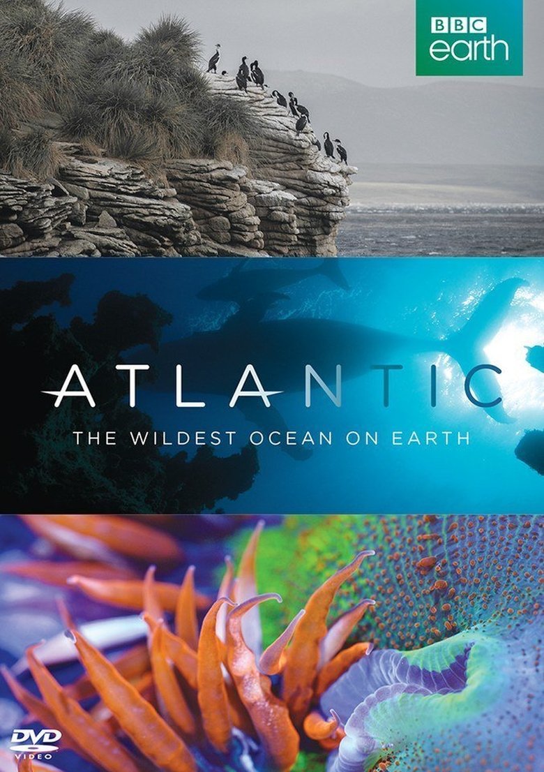 Episodes in Atlantic The Wildest Ocean On Earth - Season 1 - Season 1 Poster of Episodes in Atlantic The Wildest Ocean On Earth - Season 1 - Season 1