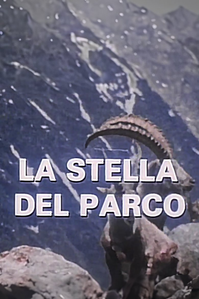 La Stella Del Parco Poster of La Stella Del Parco