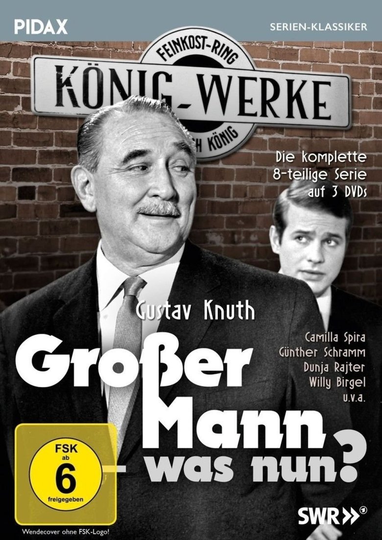 Großer Mann, was nun? Poster of Großer Mann, was nun?