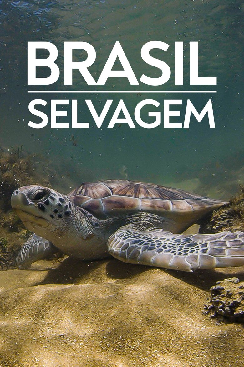 Episodes in Brazil Untamed - Coastline of Brazil - Coastline of Brazil Poster of Episodes in Brazil Untamed - Coastline of Brazil - Coastline of Brazil