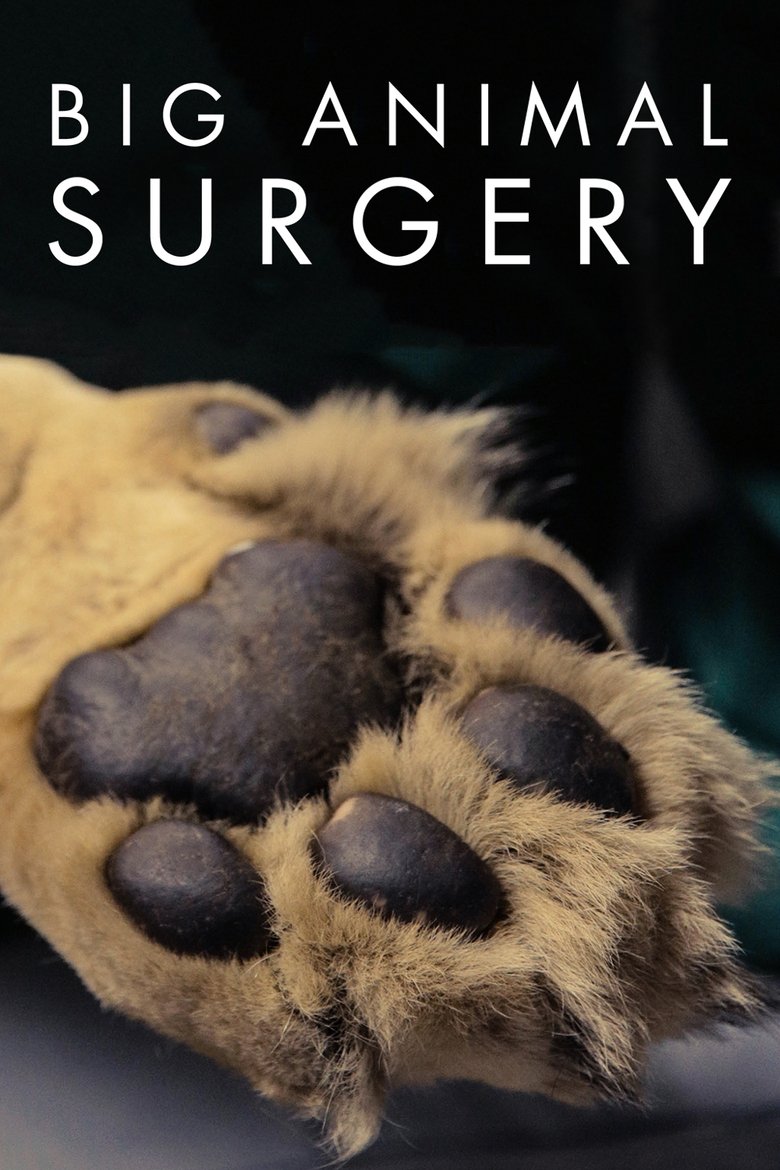 Cast and Crew in Big Animal Surgery - Season 1 - Episode 3 - Elephant Poster of Cast and Crew in Big Animal Surgery - Season 1 - Episode 3 - Elephant
