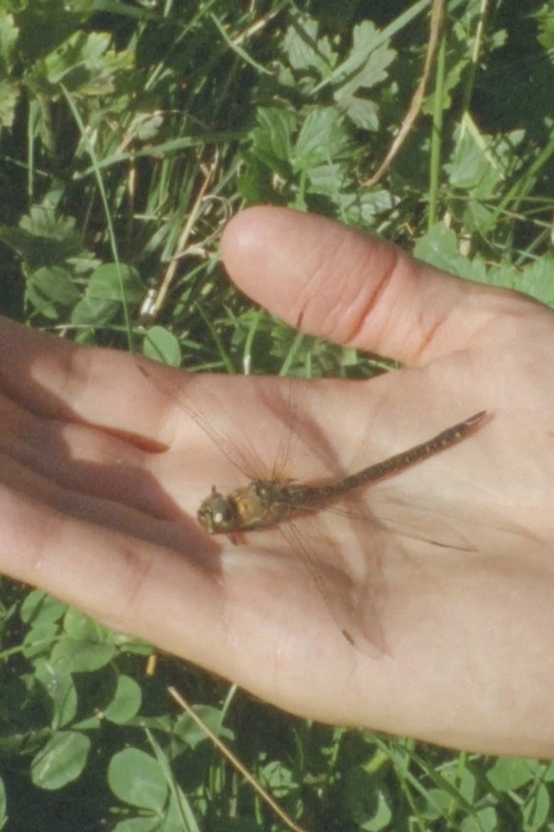The Water Was Here Poster of The Water Was Here
