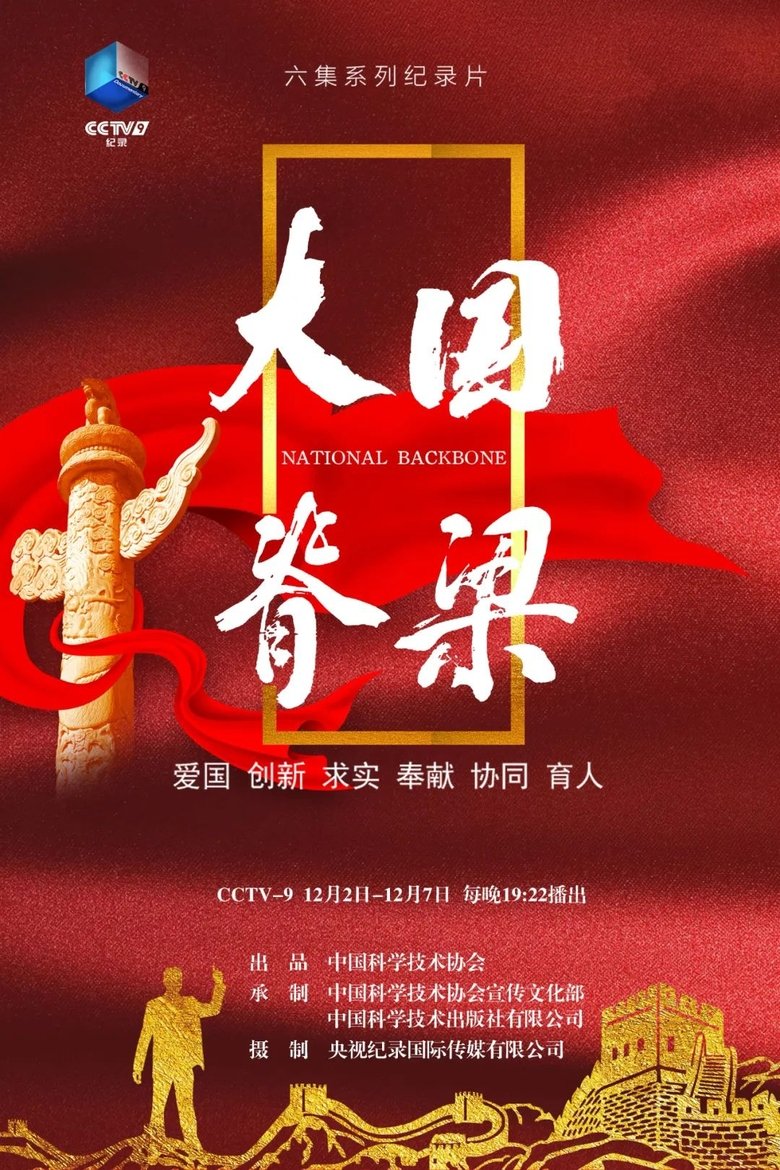 大国脊梁 Poster of 大国脊梁