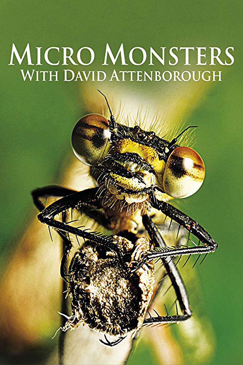 Episodes in Micro Monsters With David Attenborough - Season 1 - Season 1 Poster of Episodes in Micro Monsters With David Attenborough - Season 1 - Season 1