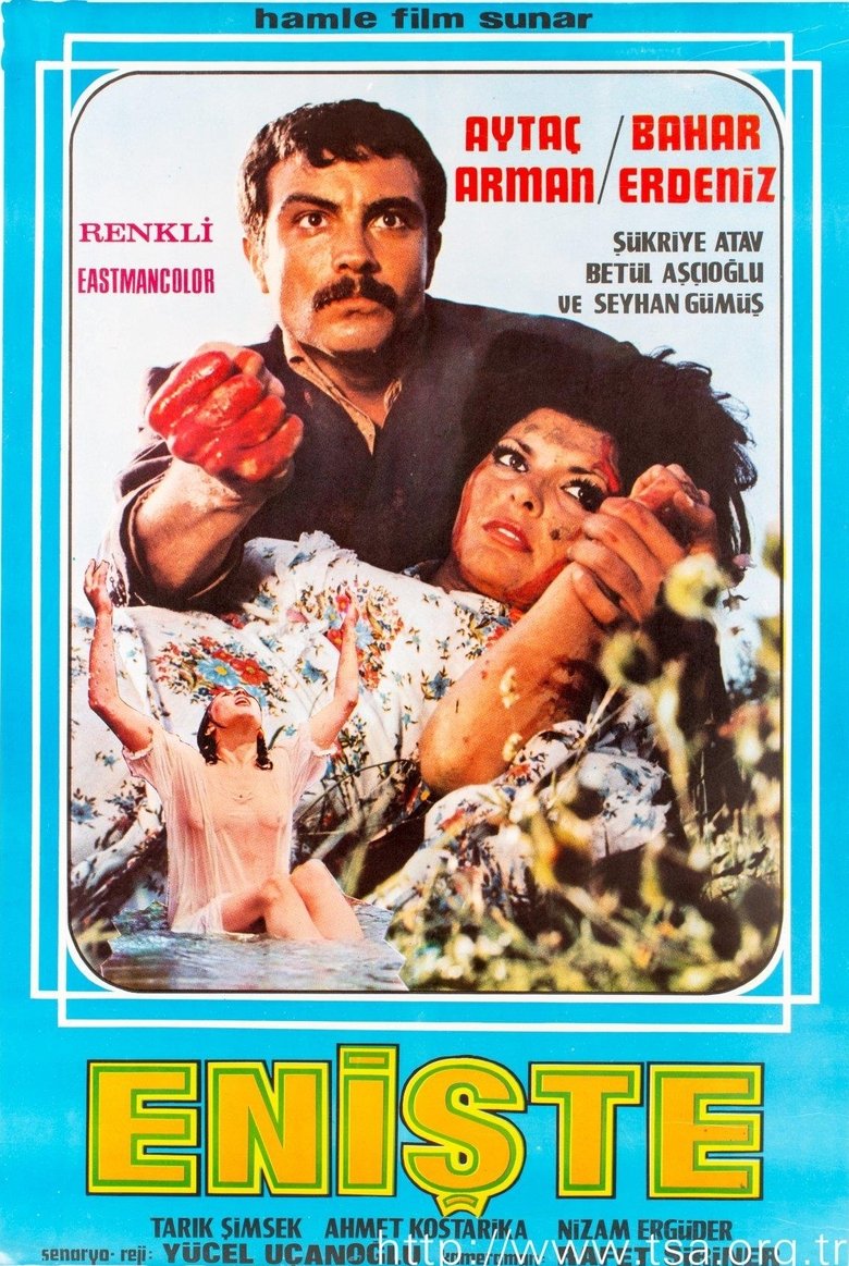 Enişte Poster of Enişte