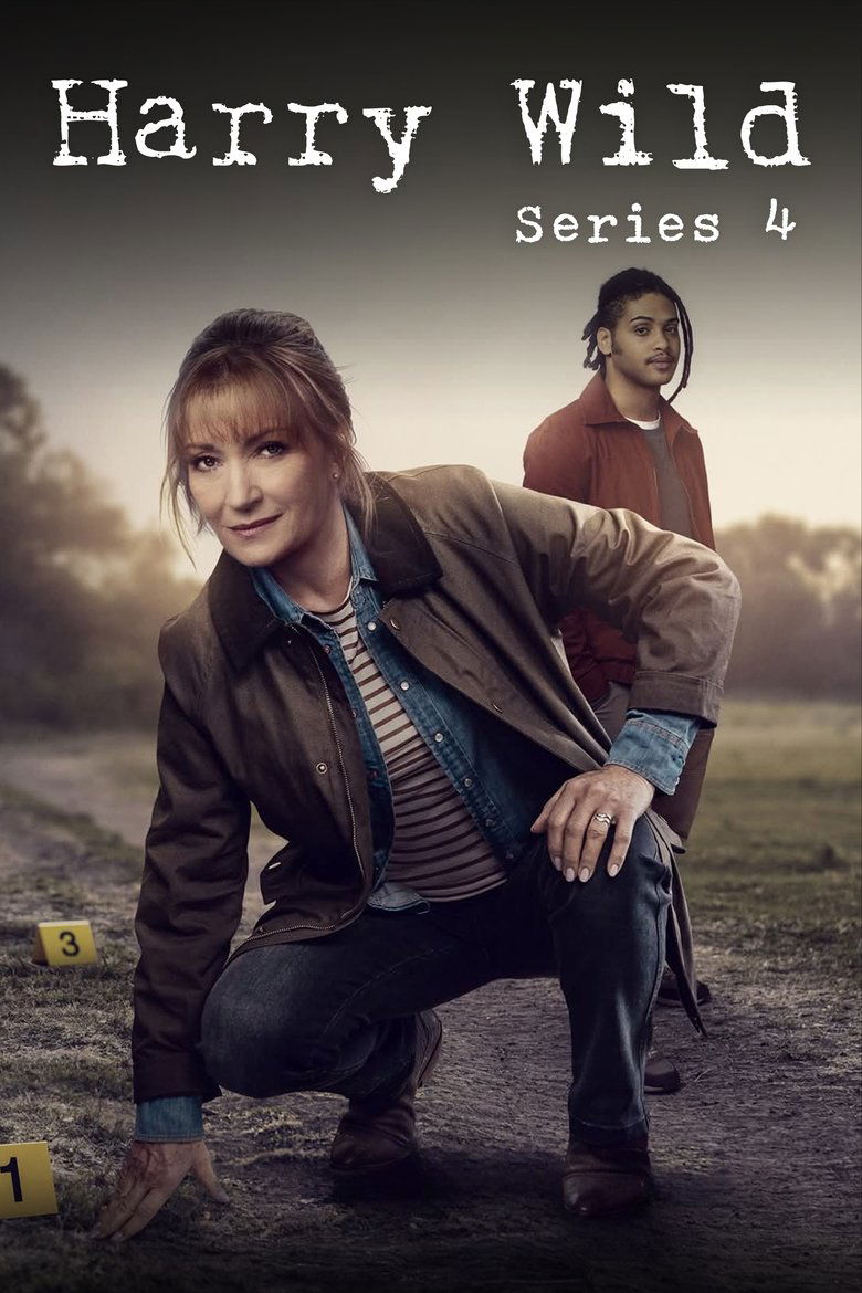 Episodes in Harry Wild - Season 4 - Season 4 Poster of Episodes in Harry Wild - Season 4 - Season 4