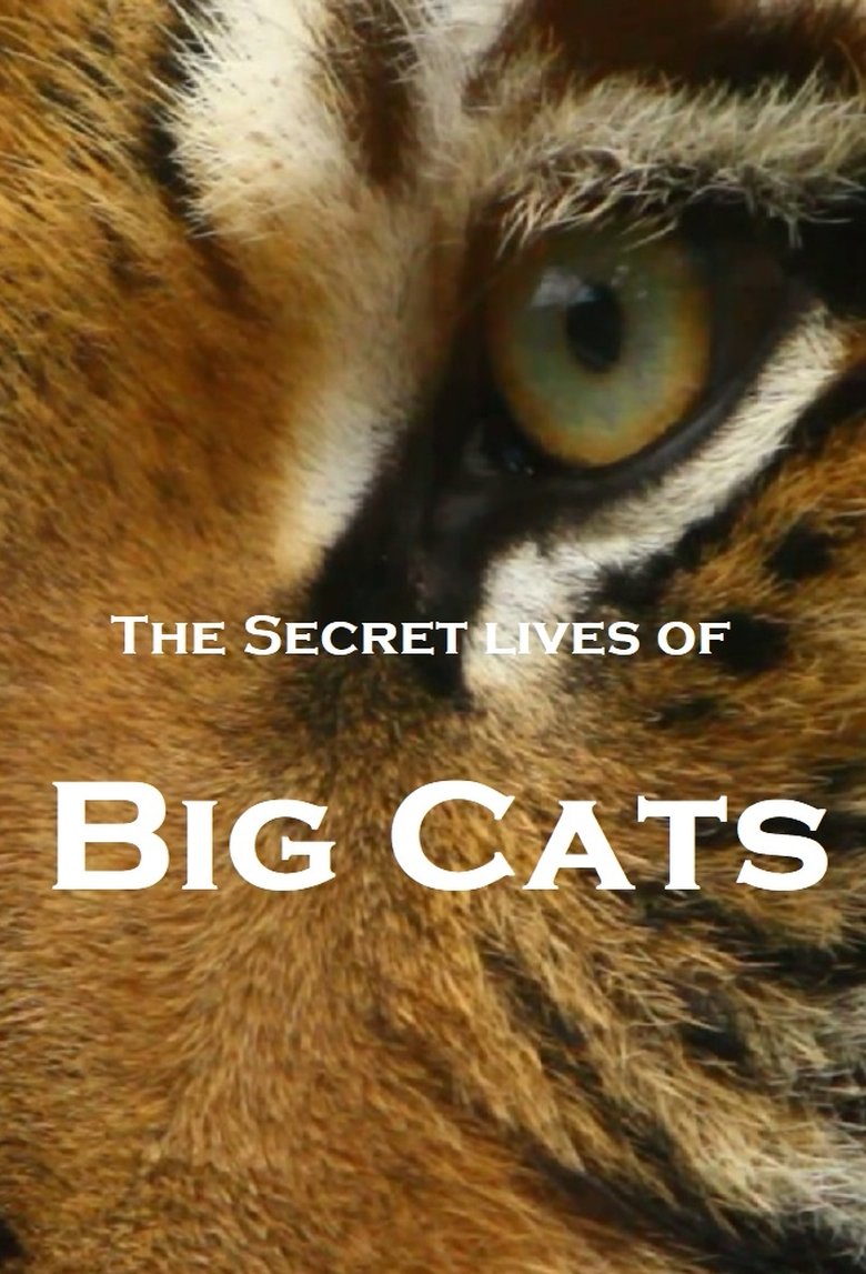 The Secret Lives Of Big Cats Poster of The Secret Lives Of Big Cats