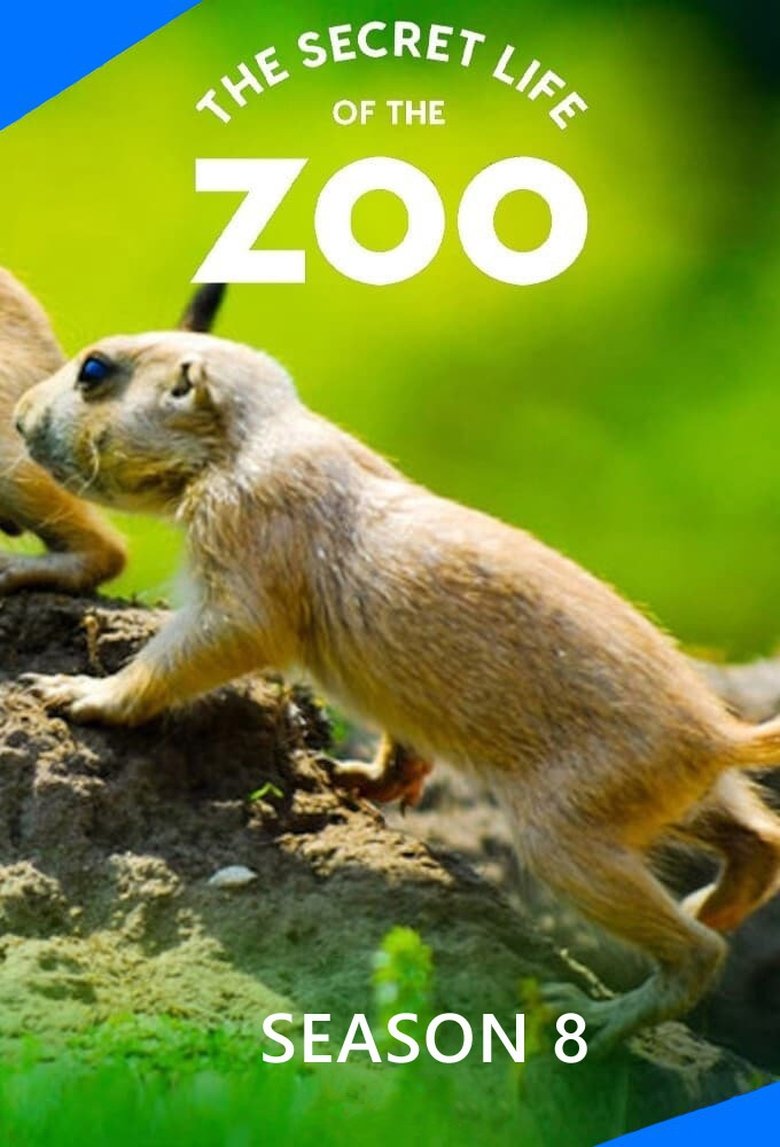 Episodes in The Secret Life Of The Zoo - Season 8 - Season 8 Poster of Episodes in The Secret Life Of The Zoo - Season 8 - Season 8