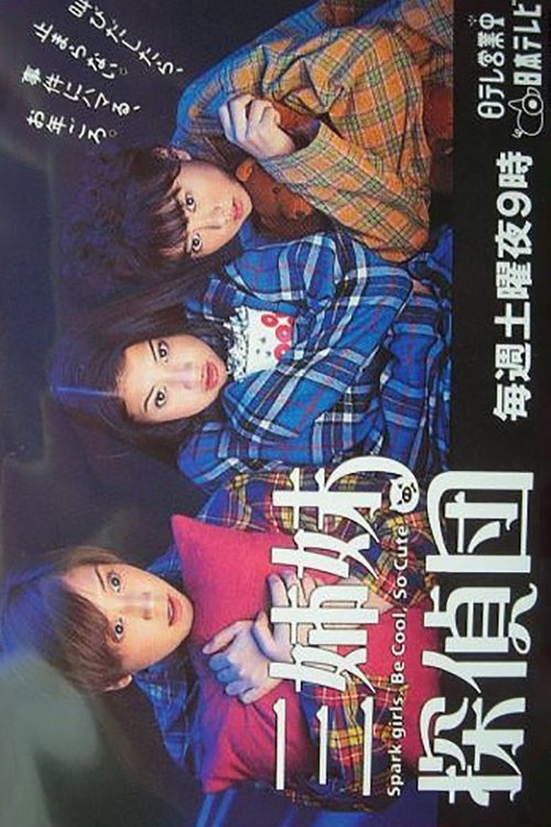 Three Sisters Investigate Poster of Three Sisters Investigate