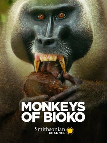 Poster of Monkeys of Bioko