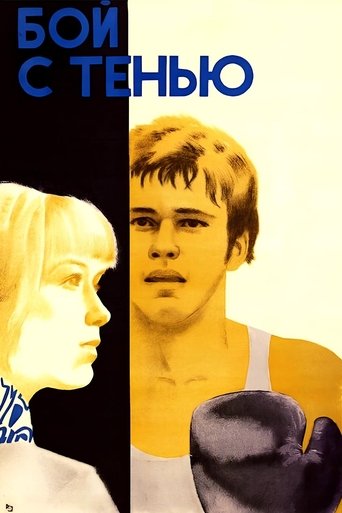 Poster of Shadow Fight