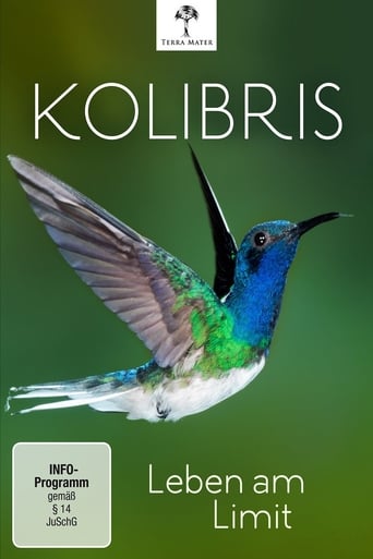 Poster of Kolibris - Leben am Limit