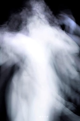 Poster of The Flesh