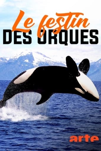 Poster of Norvège : le festin des orques