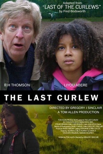 Poster of The Last Curlew