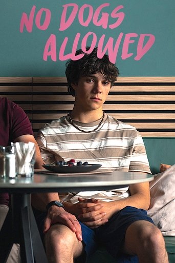 Poster of No Dogs Allowed