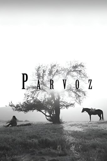 Poster of Parvoz