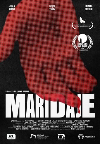 Poster of Maridaje